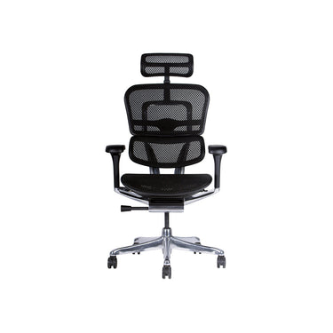 Silla Oficina Ergohuman Elite Malla Negra